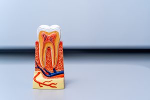 How Long Does Pain Last, And What’s Recovery Like After Getting a Root Canal?